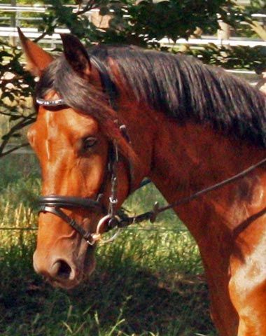 Fortunate Wind and Doris Westhoff
