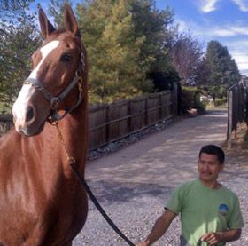 Candido Garcia, Assistant Barn and Farm Manager at Misty Gleann